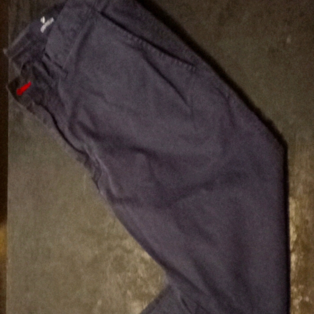 Cremieux Pants